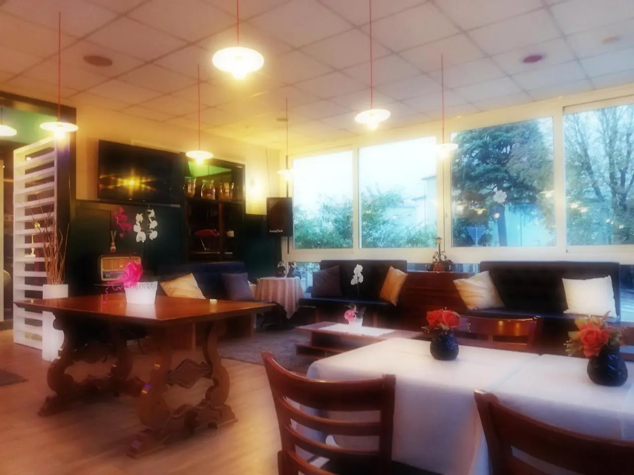 Hotel Ariston Fidenza